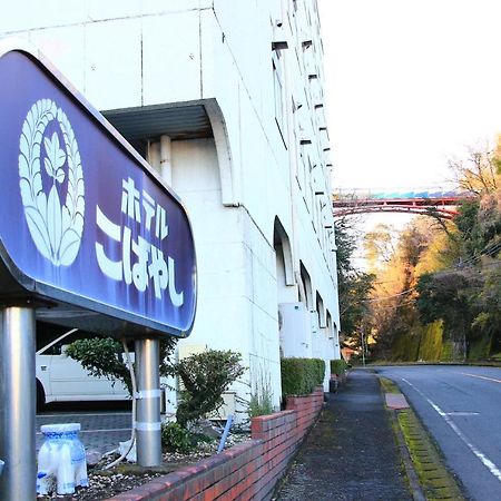 Hotel Kobayashi 鹿儿岛 外观 照片